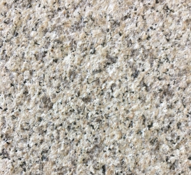 白麻2號(hào)荔枝面